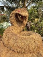 Schlange aus Stroh, Tra Su Canal, Bang Gia