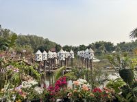 Tra Su Canal, Bang Gia