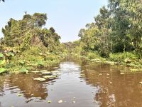 Tra Su Canal, Bang Gia