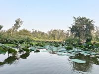 Tra Su Canal, Bang Gia