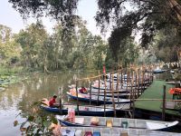 Tra Su Canal, Bang Gia