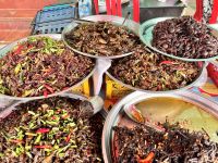 Insekten, Srok Cheung Prey