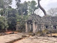 Siem Reap, Ta Prohm Tempel