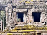 Siem Reap, Ta Prohm Tempel