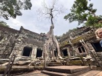 Siem Reap, Ta Prohm Tempel