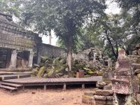 Siem Reap, Ta Prohm Tempel