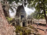 Siem Reap, Ta Prohm Tempel