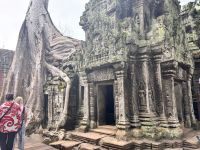 Siem Reap, Ta Prohm Tempel