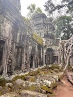 Siem Reap, Ta Prohm Tempel