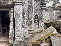Siem Reap, Ta Prohm Tempel