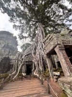 Siem Reap, Ta Prohm Tempel