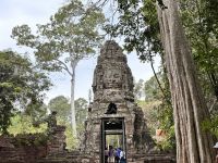 Siem Reap, Ta Prohm Tempel