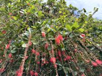 Angkor Wat, Siem Reap