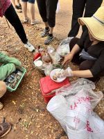 angebrütete Enteneier