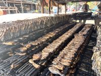 Kampong Khleang, am Tonle Sap See, Trockenfischherstellung