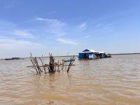 Bootstour zum Tonle Sap See, Schwimmendes Dorf