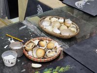 Eierschalen für Lackbilder