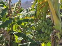 Bergdörfer bei Mai Chau