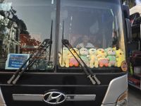 Unverwechselbarer Bus, toller Fahrer