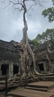 Angkor Thum, der vergessene Tempel