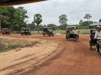 Mit den Tuk Tuks auf Tour zu den Tempeln