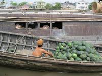 Mekong Delta - Schwimmender Markt