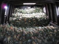 Mekong Delta - Schwimmender Markt