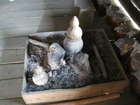 Bei der Minderheit der Lat