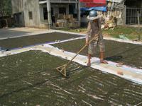 Pfeffer wird an der Straße getrocknet