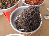 ...noch mehr Spinnen