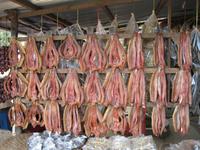 Fahrt nach Siem Reap