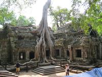 Ta Prohm