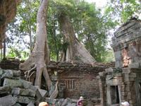Ta Prohm