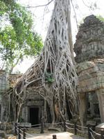 Ta Prohm