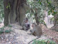 Angkor Wat - 3Ebene (7)
