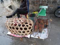 Besuch eines Dorfes (2)