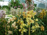 Blumenpark Da Lat (16)