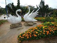 Blumenpark Da Lat (7)
