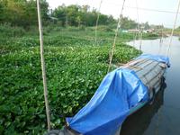 Bootsfahrt Chau Doc (2)