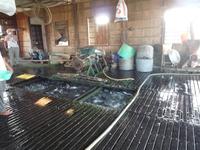 Bootsfahrt Chau Doc zum Cham-Dorf - Fischzucht (24)