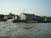 Bootsfahrt Chau Doc zum Cham-Dorf - Fischzucht (33)