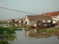 Bootsfahrt Chau Doc zum Cham-Dorf - Fischzucht (38)