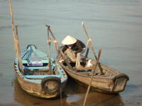 Bootsfahrt Chau Doc zum Cham-Dorf - Fischzucht (4)