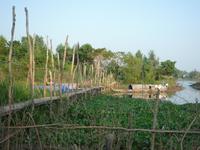 Bootsfahrt Chau Doc zum Cham-Dorf - Fischzucht (40)