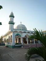 Bootsfahrt Chau Doc zum Cham-Dorf - Fischzucht (58)