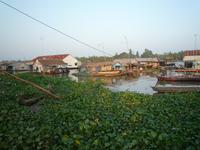 Bootsfahrt Chau Doc zum Cham-Dorf - Fischzucht (74)