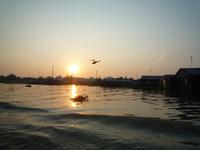 Bootsfahrt Chau Doc zum Cham-Dorf - Fischzucht (81)