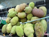 Bootsfahrt zu den Schwimmenden Märkten (66)