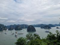 Halong-Bucht (Ausblick von der Ti Top-Insel)