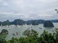 Halong-Bucht (Ausblick von der Ti Top-Insel)